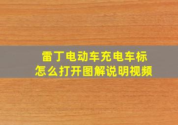 雷丁电动车充电车标怎么打开图解说明视频