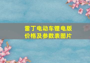 雷丁电动车锂电版价格及参数表图片