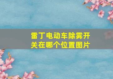 雷丁电动车除雾开关在哪个位置图片