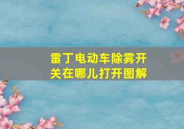 雷丁电动车除雾开关在哪儿打开图解