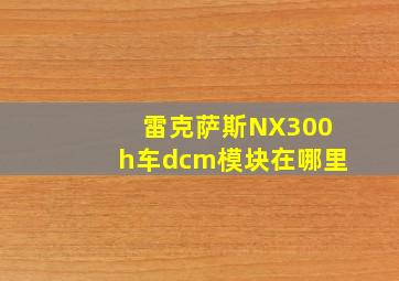 雷克萨斯NX300h车dcm模块在哪里