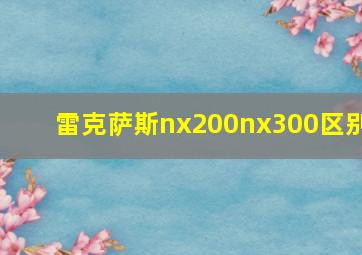 雷克萨斯nx200nx300区别