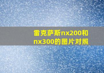 雷克萨斯nx200和nx300的图片对照