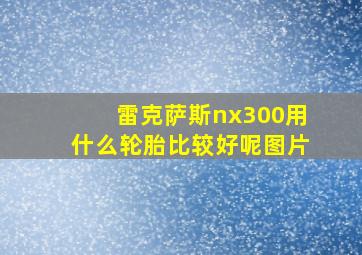 雷克萨斯nx300用什么轮胎比较好呢图片