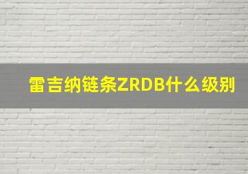 雷吉纳链条ZRDB什么级别