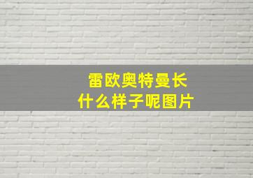 雷欧奥特曼长什么样子呢图片