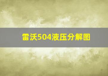 雷沃504液压分解图