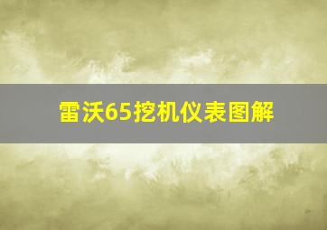 雷沃65挖机仪表图解