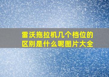 雷沃拖拉机几个档位的区别是什么呢图片大全