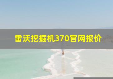 雷沃挖掘机370官网报价