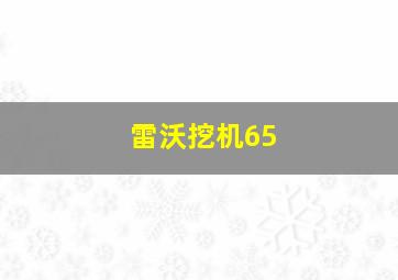 雷沃挖机65