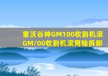 雷沃谷神GM100收割机滚GM/00收割机滚筒轴拆卸