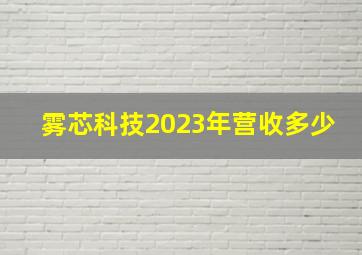 雾芯科技2023年营收多少