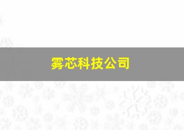 雾芯科技公司