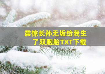 震惊长孙无垢给我生了双胞胎TXT下载