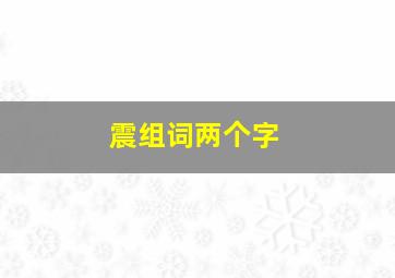 震组词两个字