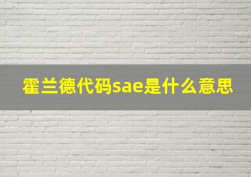 霍兰德代码sae是什么意思