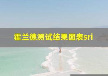 霍兰德测试结果图表sri