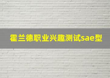 霍兰德职业兴趣测试sae型