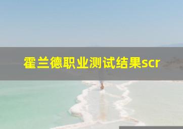 霍兰德职业测试结果scr