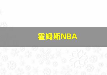 霍姆斯NBA