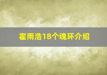 霍雨浩18个魂环介绍