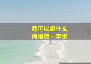 露可以组什么词语呢一年级