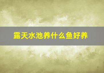 露天水池养什么鱼好养