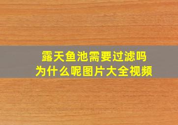 露天鱼池需要过滤吗为什么呢图片大全视频