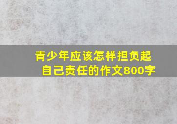 青少年应该怎样担负起自己责任的作文800字