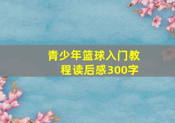 青少年篮球入门教程读后感300字