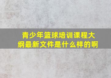 青少年篮球培训课程大纲最新文件是什么样的啊