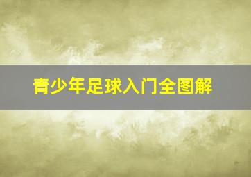 青少年足球入门全图解