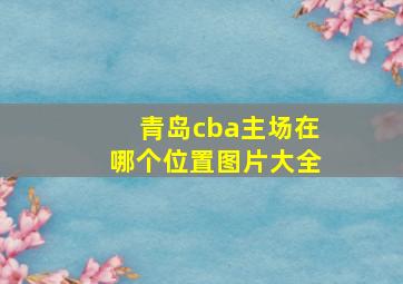 青岛cba主场在哪个位置图片大全