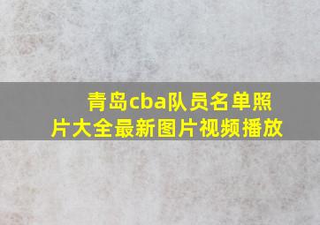 青岛cba队员名单照片大全最新图片视频播放