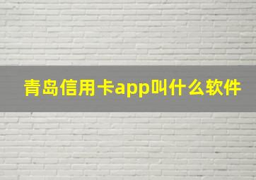 青岛信用卡app叫什么软件