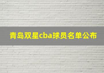 青岛双星cba球员名单公布