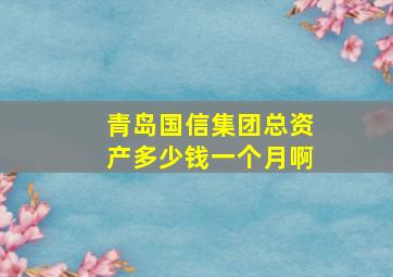 青岛国信集团总资产多少钱一个月啊