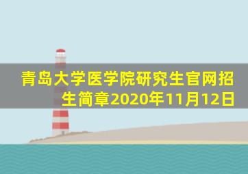 青岛大学医学院研究生官网招生简章2020年11月12日