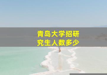 青岛大学招研究生人数多少