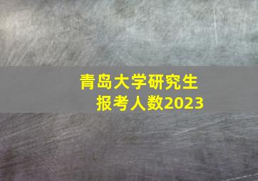 青岛大学研究生报考人数2023