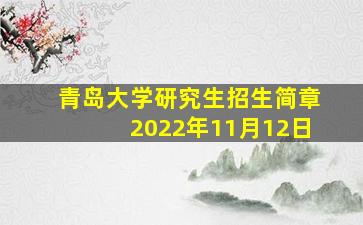 青岛大学研究生招生简章2022年11月12日