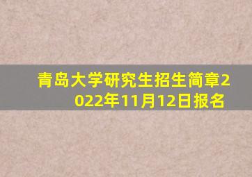 青岛大学研究生招生简章2022年11月12日报名