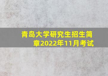 青岛大学研究生招生简章2022年11月考试