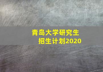 青岛大学研究生招生计划2020