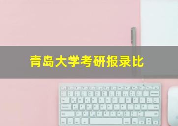 青岛大学考研报录比