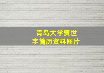 青岛大学贾世宇简历资料图片