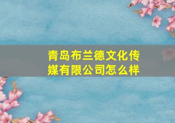 青岛布兰德文化传媒有限公司怎么样