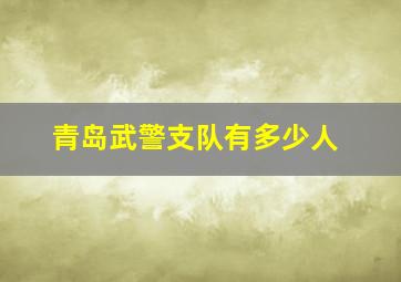 青岛武警支队有多少人