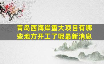 青岛西海岸重大项目有哪些地方开工了呢最新消息